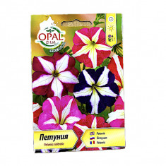 Seminte flori Petunia Stelata Star Mix 0,2 gr, OpalZi Bulgaria