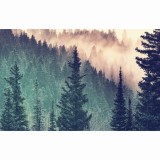 Puzzle 200 piese - Moment - Forest | Ravensburger