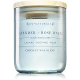 DW Home Naturals Lavender &amp; Rose Water lum&acirc;nare parfumată 501 g