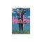 Dorohedoro, Volume 12