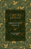 Cso&oacute;ri S&aacute;ndor &ouml;sszegyűjt&ouml;tt versei III. - K&ouml;ltői be&eacute;rkez&eacute;s 1980-1989 - Cso&oacute;ri S&aacute;ndor