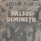 Valsul diminetii - Roman