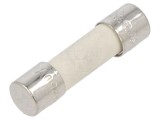 Siguranță ardere rapidă 10A 250VAC 5x20mm alamă