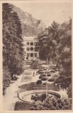 Baile Herculane. Vedere din parc (circulata 1956)