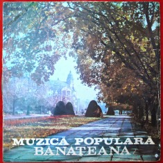 MUZICĂ POPULARĂ BĂNĂȚEANĂ - ORCHESTRA DE MUZICĂ POPULARĂ DIN CARANSEBEȘ - DISC VINYL / VINIL LP, ALBUM PICK-UP ELECTRECORD