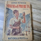 MINUNI IN EPRUBETA - LEONID PETRESCU