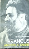 BRANCUSI AMINTIRI SI EXEGEZE PETRE PANDREA