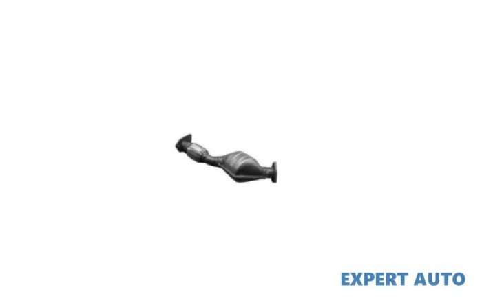 Catalizator Audi A4 (2000-2004) [8E2, B6]