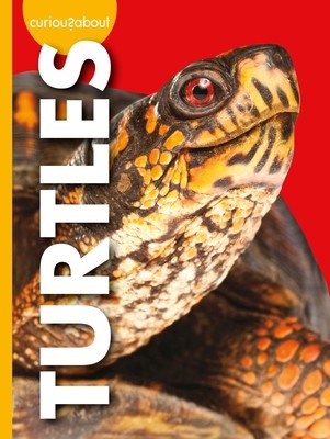 Curious about Turtles foto