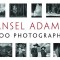 Ansel Adams: 400 Photographs