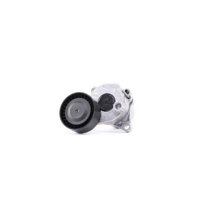 Intinzator curea MERCEDES-BENZ SPRINTER 3-t platou sasiu 906 DAYCO APV2982 foto