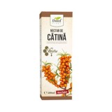 NECTAR DE CATINA&amp;MIERE FARA ZAHAR 200ML, Dorel Plant