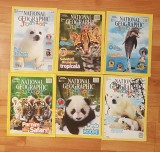 Set 6 reviste National Geographic Junior