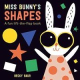 Miss Bunny&#039;s Shapes