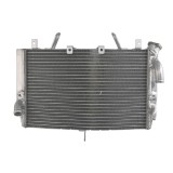 Cumpara ieftin RADIATOR YAMAHA YZF R1 1000 2007 2008