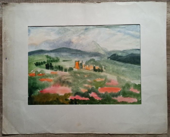 Vedere panoramica Rasnov// guasa Rodica Raileanu 1982