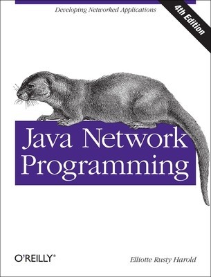 Java Network Programming foto
