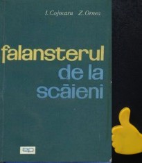 Falansterul de la Scaieni I Cojocaru Z Ornea foto