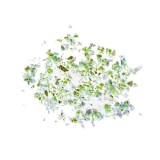 Decorațiuni verzi pentru unghii &ndash; fulgi, INGINAILS