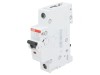 &Icirc;ntrerupător Supracurent 10A 230V Monofazat