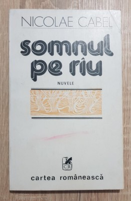 Somnul pe r&amp;acirc;u - Nicolae Cabel foto
