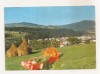 RF196 - Carte Postala - Vatra Dornei, circulata 1984