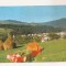 RF196 - Carte Postala - Vatra Dornei, circulata 1984