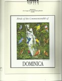 DOMINICA 1993 FAUNA PASARI - PE CARTON DE PREZENTARE