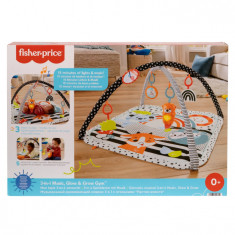 Fisher Price Saltea Muzicala 3 in 1 cu Centru de Activitati