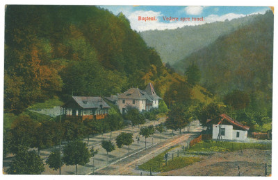 2855 - BUSTENI, Prahova, Romania - old postcard - unused foto
