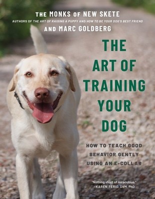 The Art of Training Your Dog: How to Gently Teach Good Behavior Using an E-Collar foto