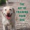 The Art of Training Your Dog: How to Gently Teach Good Behavior Using an E-Collar