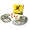 Kit complet ambreiaj Husaberg FE 550 04- 08; Beta 250 RR 4T 05- 07