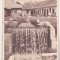 bnk cp Govora - Sanatoriul balnear - circulata 195? - Libraria noastra
