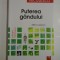 PUTEREA GANDULUI - MILTON CAMERON