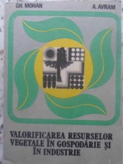 VALORIFICAREA RESURSELOR VEGETALE IN GOSPODARIE SI IN INDUSTRIE-GH. MOHAN, A. AVRAM-231835