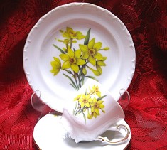 SET MIC DEJUN PORTELAN SELTMANN BAVARIA CEASCA CAFEA CU FARFURII DECOR NARCISE