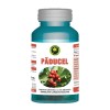 Paducel 60 capsule Hypericum, Hypericum Plant