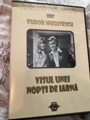 Visul Unei Nopti De Iarna (1980) (DVD) foto