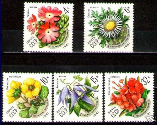 !!! RUSIA - SERIE COMPLETA ( 5 VALORI) FLORA DIN CARPATI 1981 , NEUZATE / FLORA