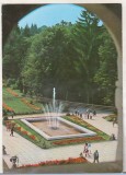 bnk cp Govora - Parcul - cuzata