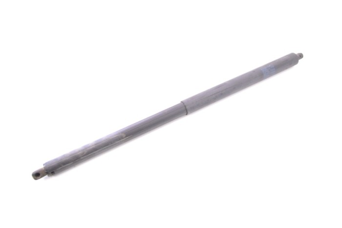 Amortizor haion st&acirc;nga TESLA MODEL S 2017 OEM: 6006611-00-B 12146298