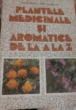 PLANTELE MEDICINALE SI AROMATICE DE LA A LA Z