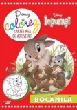Disney. Iepurasi. Desenez si colorez. Cartea mea de activitati - Autor Anonim - Litera