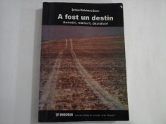 A FOST UN DESTIN Amintiri, marturii, dezvaluiri - Serban Radulescu-Zoner
