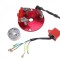Stator - generator cu aprindere Unit Enduro Cod Produs: MX_NEW AI22502