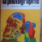 Toute La Photo Graphie - Pierre Montel ,528526