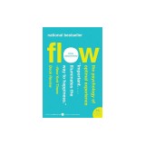 Flow: The Psychology of Optimal Experience