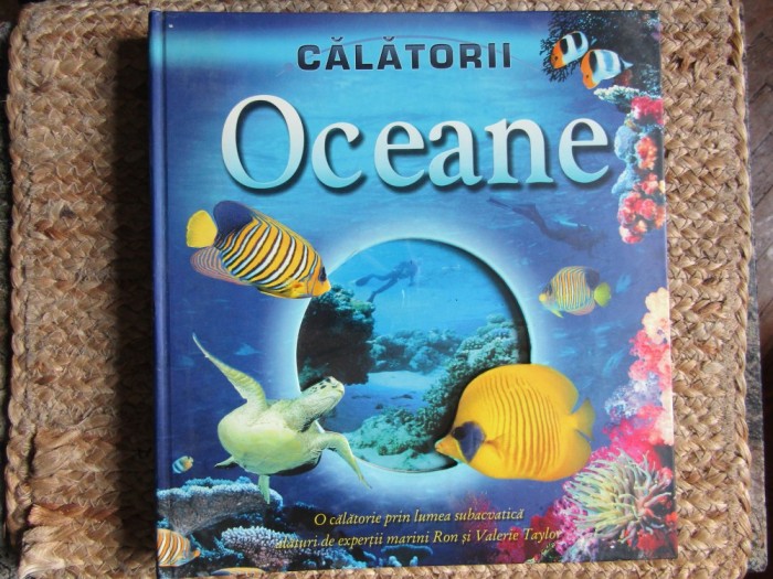 Stephen Savage - Oceane