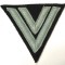 WW2 Ecuson Chevron German SS Rotenfuhrer subdued